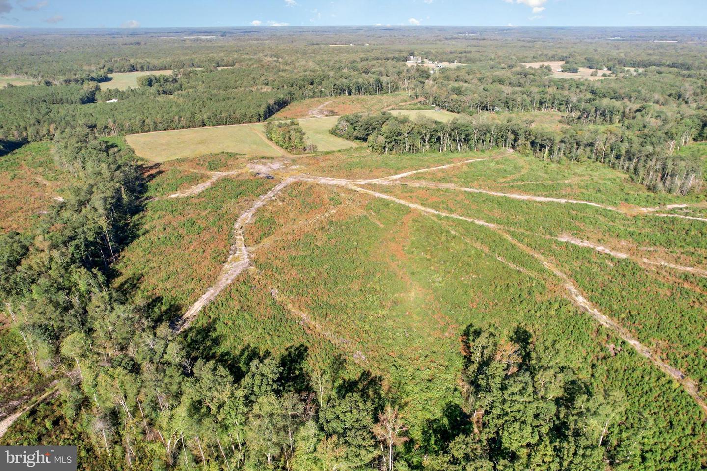 0 WHITE OAK DR, RUTHER GLEN, Virginia 22546, ,Farm,For Sale,0 WHITE OAK DR,VACV2008948 MLS # VACV2008948