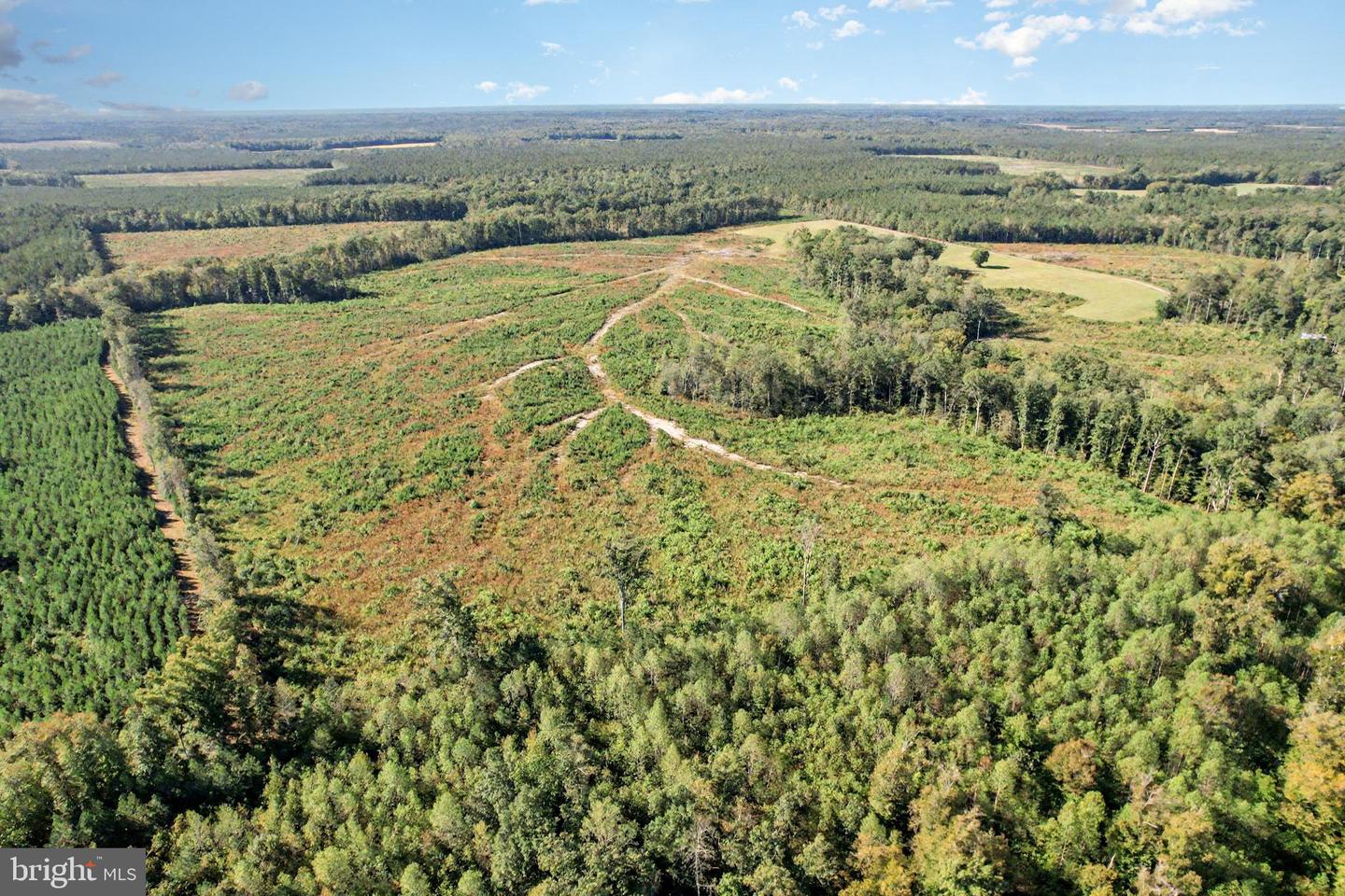 0 WHITE OAK DR, RUTHER GLEN, Virginia 22546, ,Farm,For Sale,0 WHITE OAK DR,VACV2008948 MLS # VACV2008948