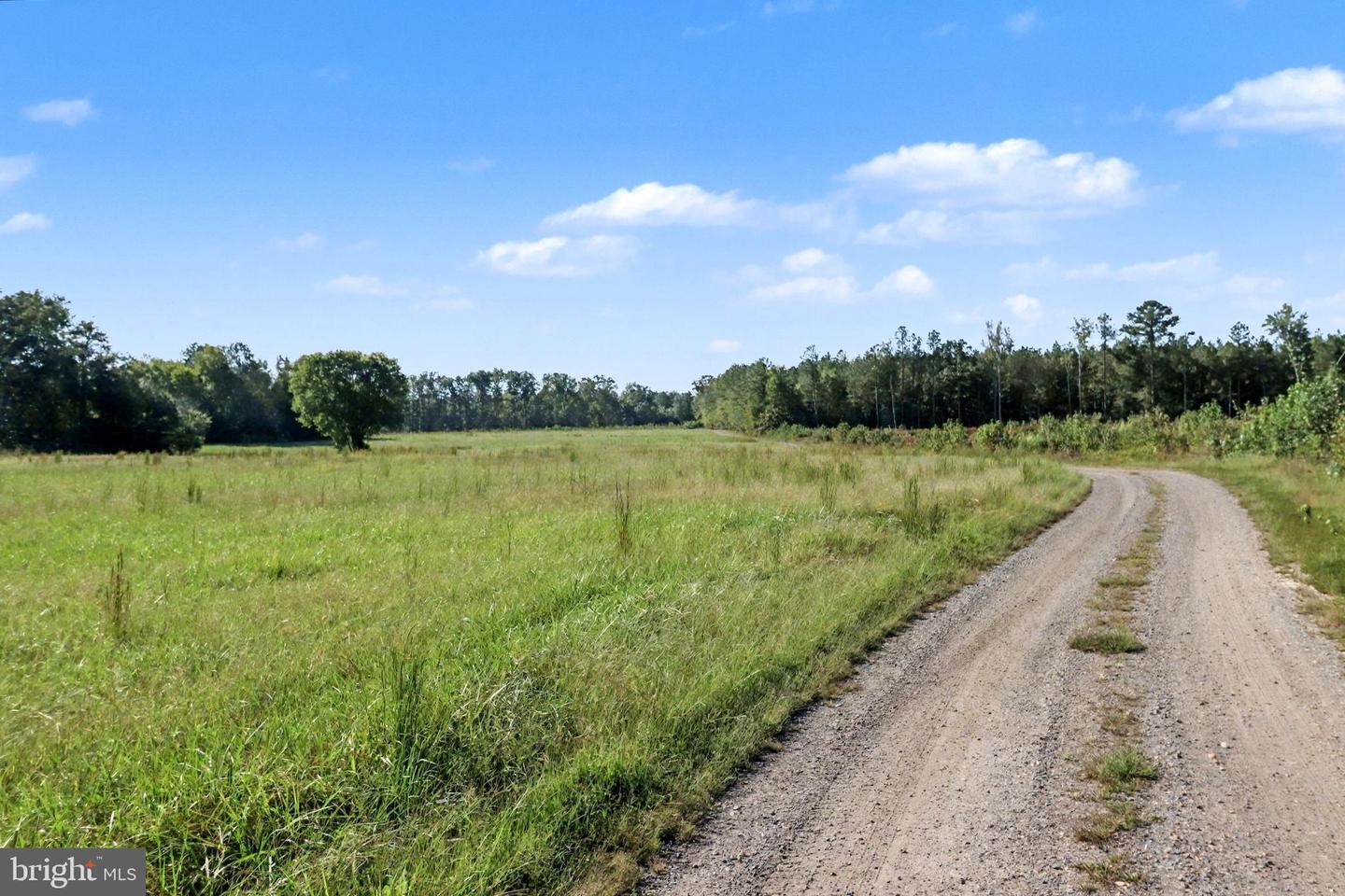 0 WHITE OAK DR, RUTHER GLEN, Virginia 22546, ,Farm,For Sale,0 WHITE OAK DR,VACV2008948 MLS # VACV2008948