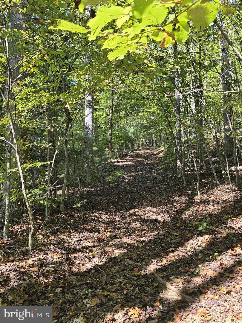 HURT HOLLOW RD, BANCO, Virginia 22711, ,Land,For Sale,HURT HOLLOW RD,VAMA2002482 MLS # VAMA2002482 HURT HOLLOW RD, BANCO, Virginia 22711, ,Land,For Sale,HURT HOLLOW RD,VAMA2002482 MLS # VAMA2002482