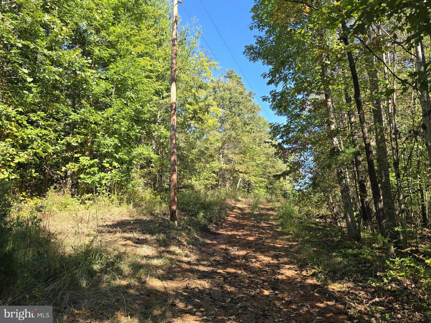 HURT HOLLOW RD, BANCO, Virginia 22711, ,Land,For Sale,HURT HOLLOW RD,VAMA2002482 MLS # VAMA2002482 HURT HOLLOW RD, BANCO, Virginia 22711, ,Land,For Sale,HURT HOLLOW RD,VAMA2002482 MLS # VAMA2002482