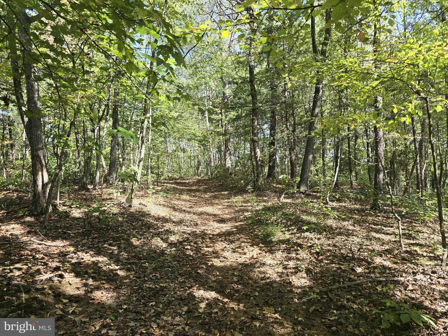 HURT HOLLOW RD, BANCO, Virginia 22711, ,Land,For Sale,HURT HOLLOW RD,VAMA2002482 MLS # VAMA2002482 HURT HOLLOW RD, BANCO, Virginia 22711, ,Land,For Sale,HURT HOLLOW RD,VAMA2002482 MLS # VAMA2002482