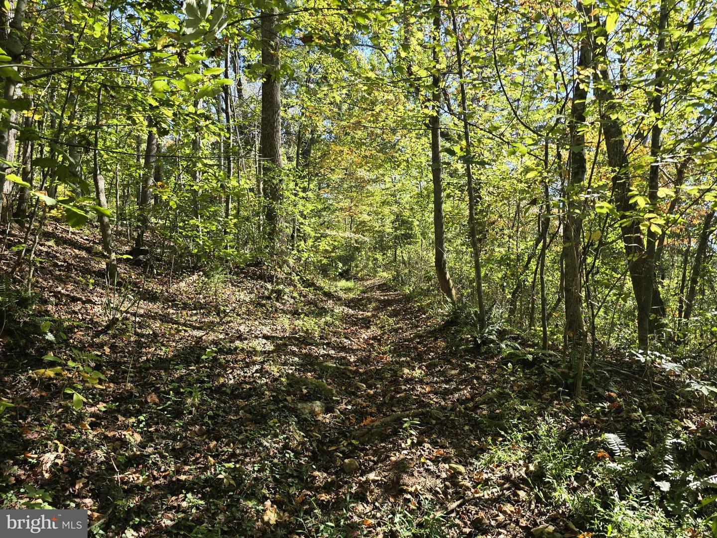 HURT HOLLOW RD, BANCO, Virginia 22711, ,Land,For Sale,HURT HOLLOW RD,VAMA2002482 MLS # VAMA2002482 HURT HOLLOW RD, BANCO, Virginia 22711, ,Land,For Sale,HURT HOLLOW RD,VAMA2002482 MLS # VAMA2002482
