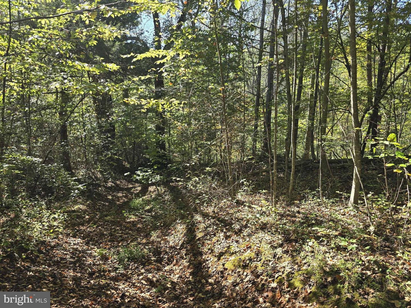 HURT HOLLOW RD, BANCO, Virginia 22711, ,Land,For Sale,HURT HOLLOW RD,VAMA2002482 MLS # VAMA2002482 HURT HOLLOW RD, BANCO, Virginia 22711, ,Land,For Sale,HURT HOLLOW RD,VAMA2002482 MLS # VAMA2002482