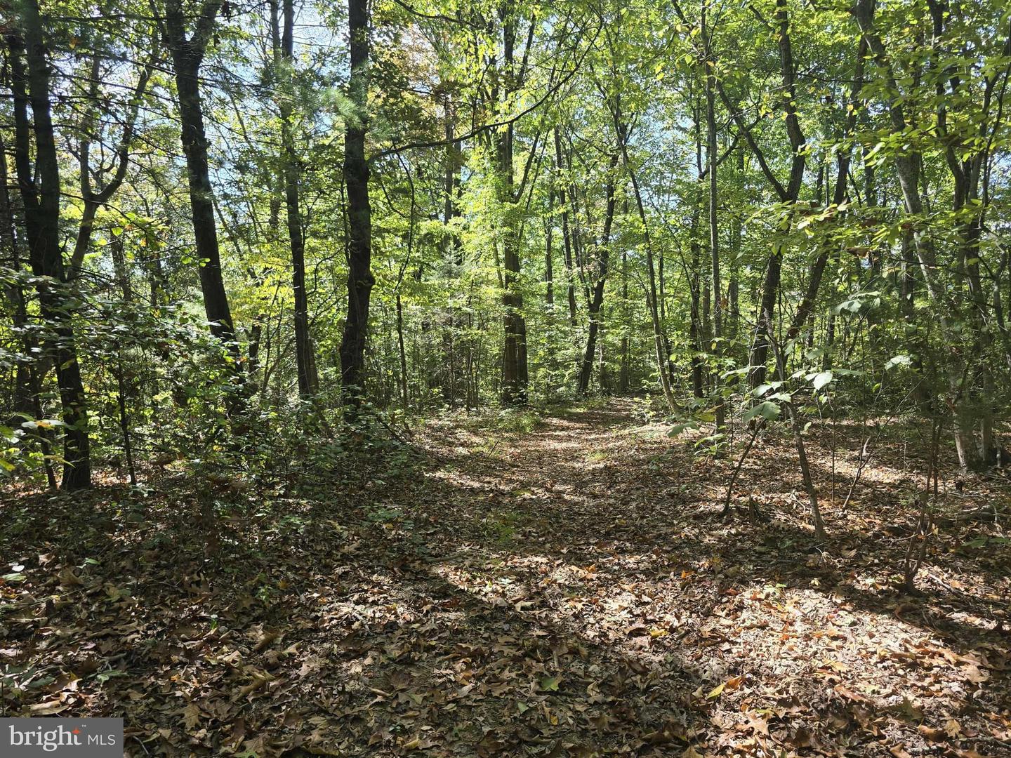 HURT HOLLOW RD, BANCO, Virginia 22711, ,Land,For Sale,HURT HOLLOW RD,VAMA2002482 MLS # VAMA2002482 HURT HOLLOW RD, BANCO, Virginia 22711, ,Land,For Sale,HURT HOLLOW RD,VAMA2002482 MLS # VAMA2002482
