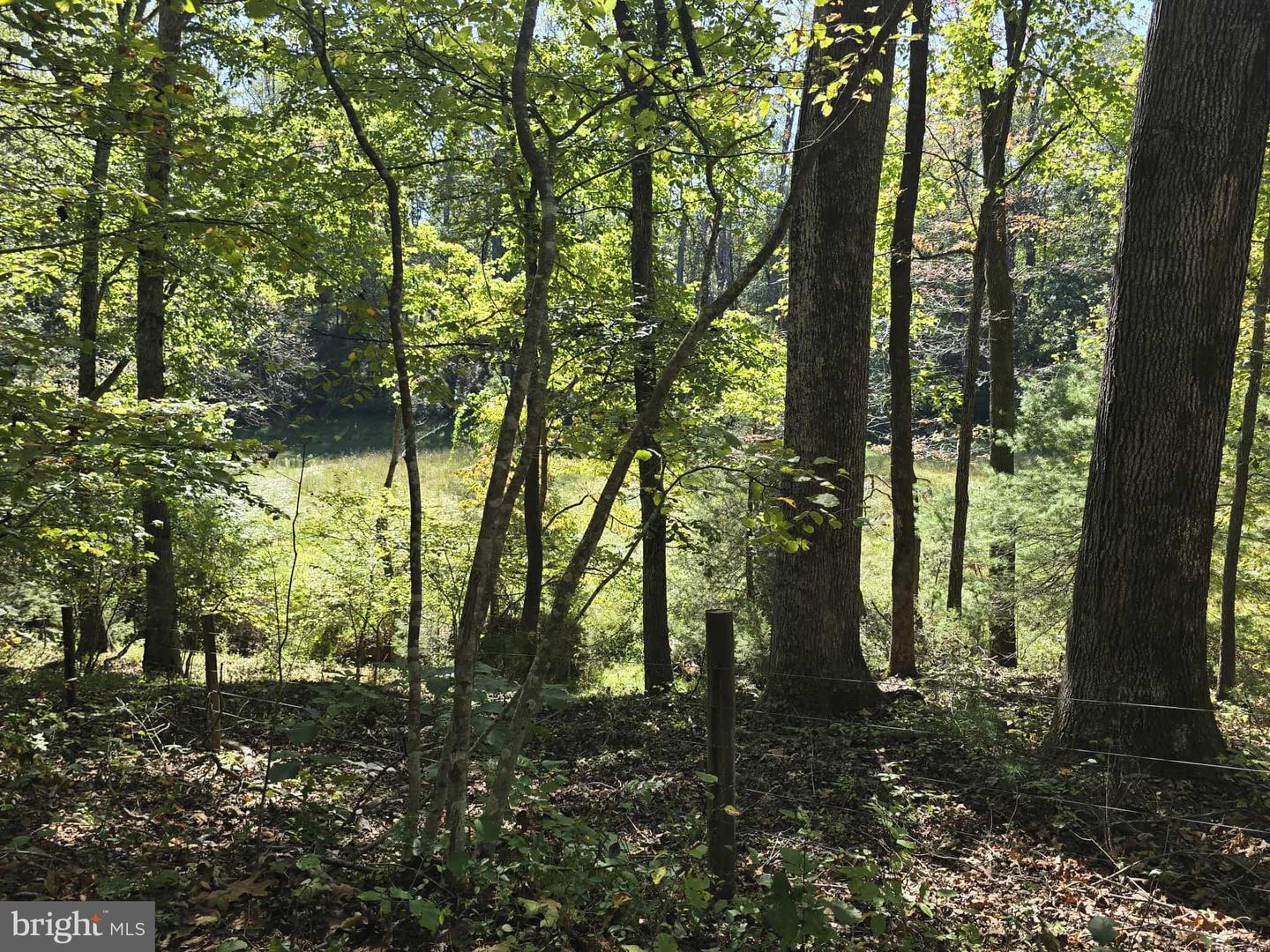 HURT HOLLOW RD, BANCO, Virginia 22711, ,Land,For Sale,HURT HOLLOW RD,VAMA2002482 MLS # VAMA2002482 HURT HOLLOW RD, BANCO, Virginia 22711, ,Land,For Sale,HURT HOLLOW RD,VAMA2002482 MLS # VAMA2002482