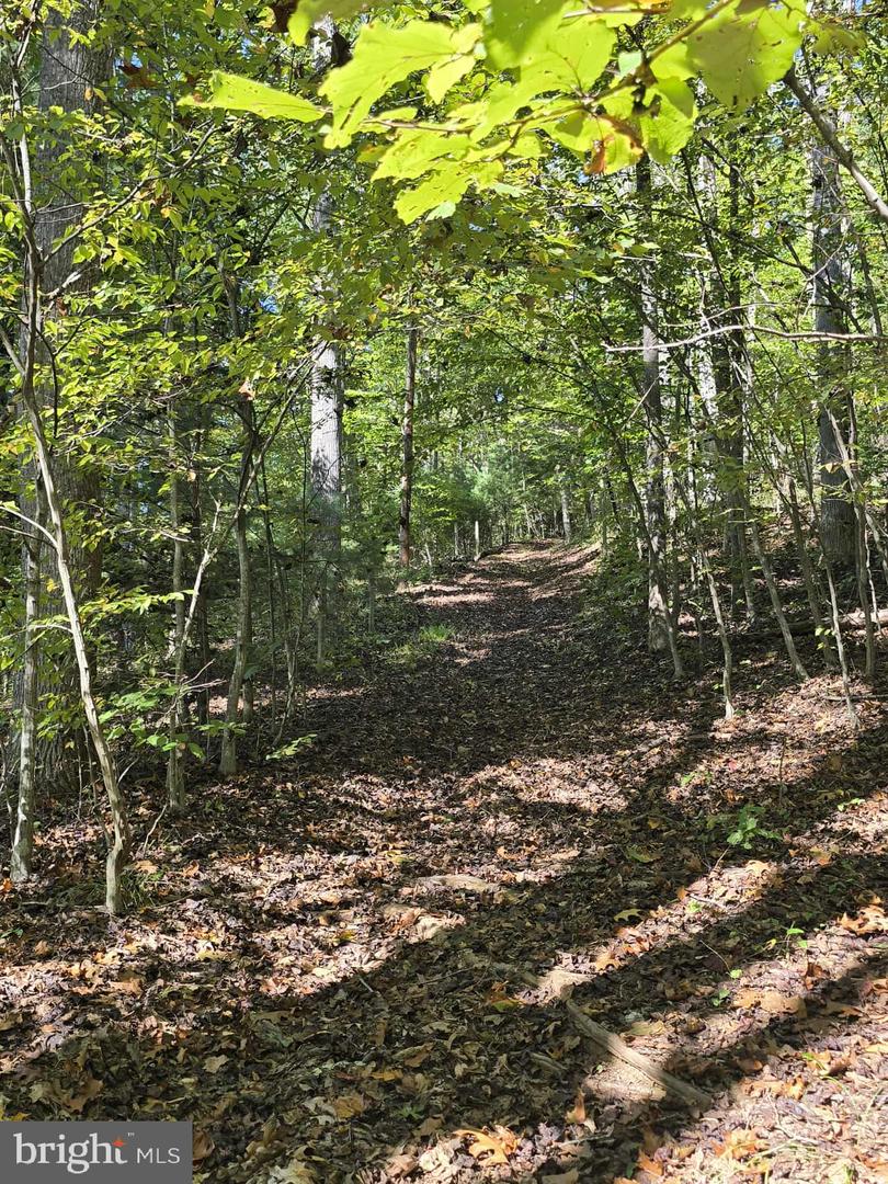 HURT HOLLOW RD, BANCO, Virginia 22711, ,Land,For Sale,HURT HOLLOW RD,VAMA2002482 MLS # VAMA2002482 HURT HOLLOW RD, BANCO, Virginia 22711, ,Land,For Sale,HURT HOLLOW RD,VAMA2002482 MLS # VAMA2002482