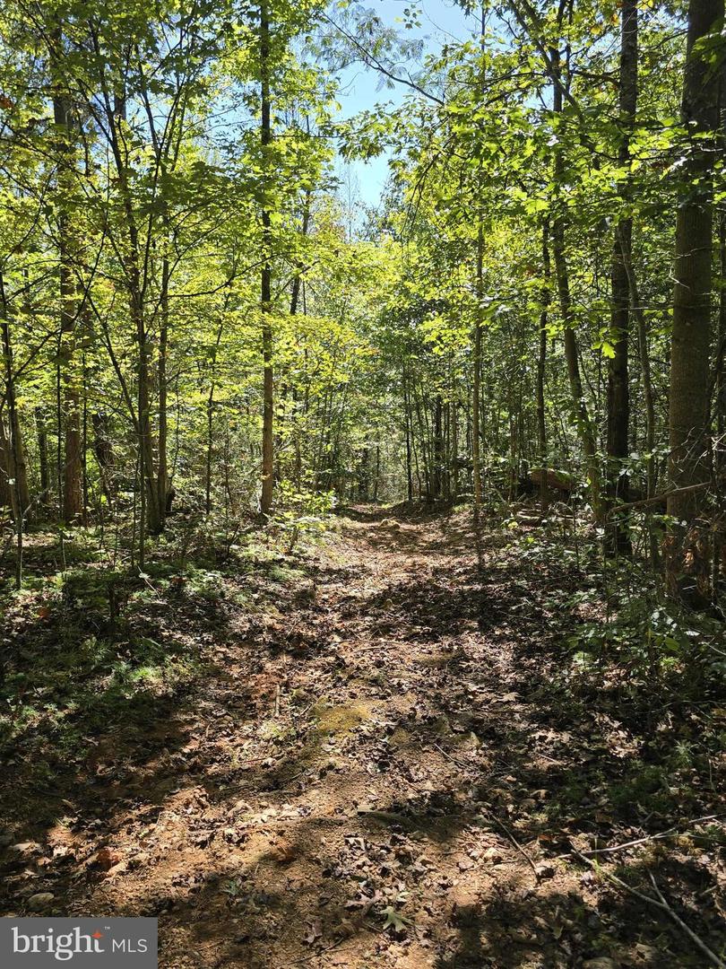 HURT HOLLOW RD, BANCO, Virginia 22711, ,Land,For Sale,HURT HOLLOW RD,VAMA2002482 MLS # VAMA2002482 HURT HOLLOW RD, BANCO, Virginia 22711, ,Land,For Sale,HURT HOLLOW RD,VAMA2002482 MLS # VAMA2002482