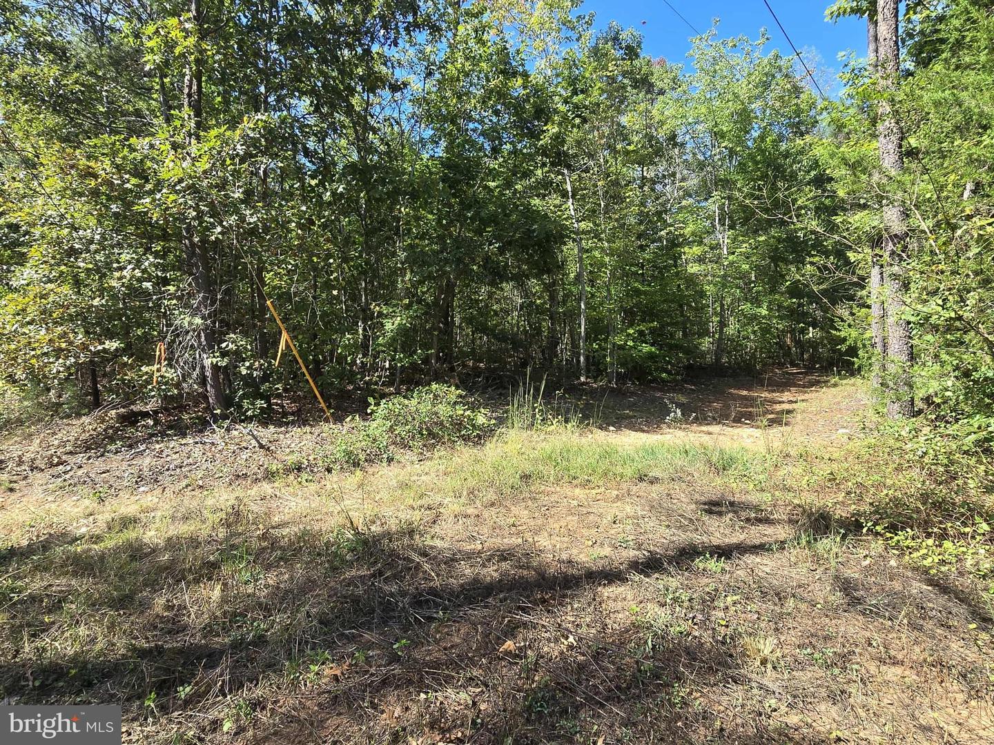 HURT HOLLOW RD, BANCO, Virginia 22711, ,Land,For Sale,HURT HOLLOW RD,VAMA2002482 MLS # VAMA2002482 HURT HOLLOW RD, BANCO, Virginia 22711, ,Land,For Sale,HURT HOLLOW RD,VAMA2002482 MLS # VAMA2002482