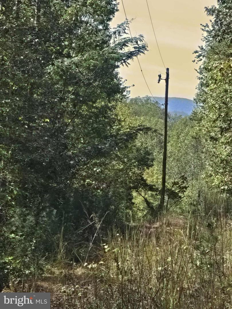 HURT HOLLOW RD, BANCO, Virginia 22711, ,Land,For Sale,HURT HOLLOW RD,VAMA2002482 MLS # VAMA2002482 HURT HOLLOW RD, BANCO, Virginia 22711, ,Land,For Sale,HURT HOLLOW RD,VAMA2002482 MLS # VAMA2002482