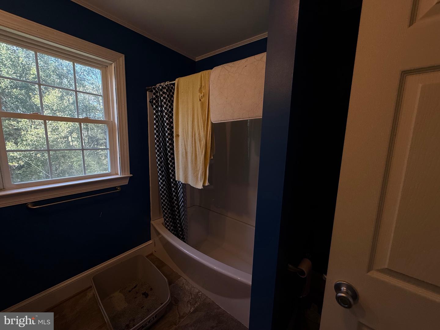 14105 LEE HWY, AMISSVILLE, Virginia 20106, 2 Bedrooms Bedrooms, ,2 BathroomsBathrooms,Farm,For Sale,14105 LEE HWY,VARP2002220 MLS # VARP2002220 14105 LEE HWY, AMISSVILLE, Virginia 20106, 2 Bedrooms Bedrooms, ,2 BathroomsBathrooms,Farm,For Sale,14105 LEE HWY,VARP2002220 MLS # VARP2002220