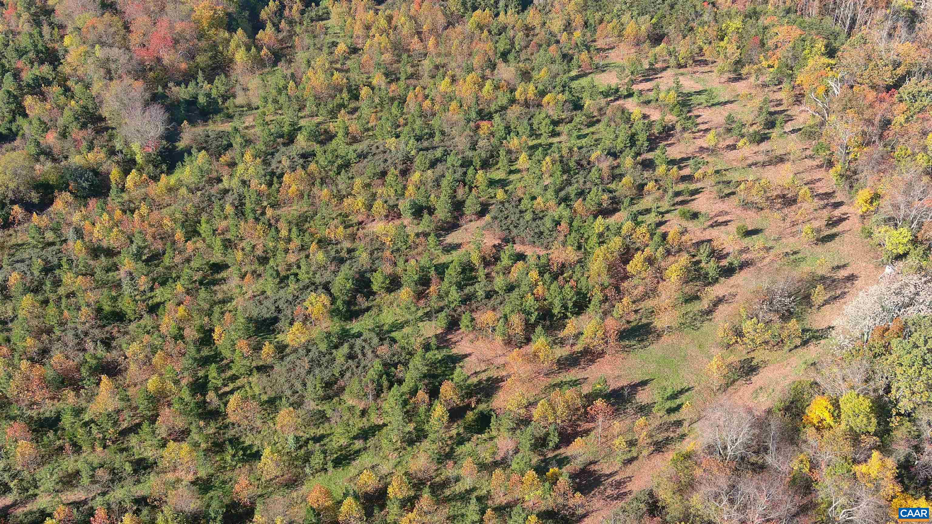 OLD BARBOURSVILLE RD, GORDONSVILLE, Virginia 22942, ,Farm,14,OLD BARBOURSVILLE RD,669789 MLS # 669789