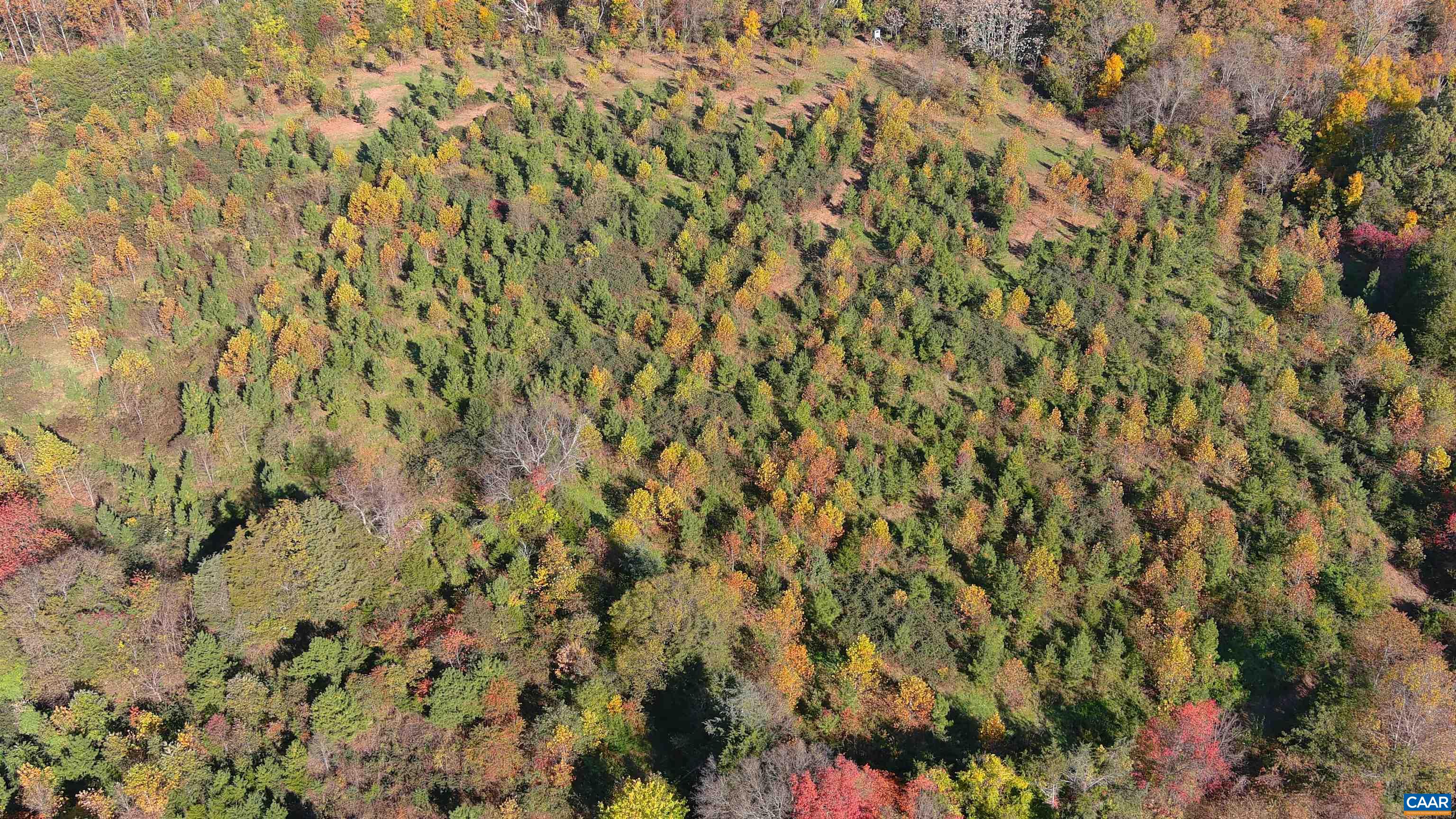 OLD BARBOURSVILLE RD, GORDONSVILLE, Virginia 22942, ,Farm,14,OLD BARBOURSVILLE RD,669789 MLS # 669789