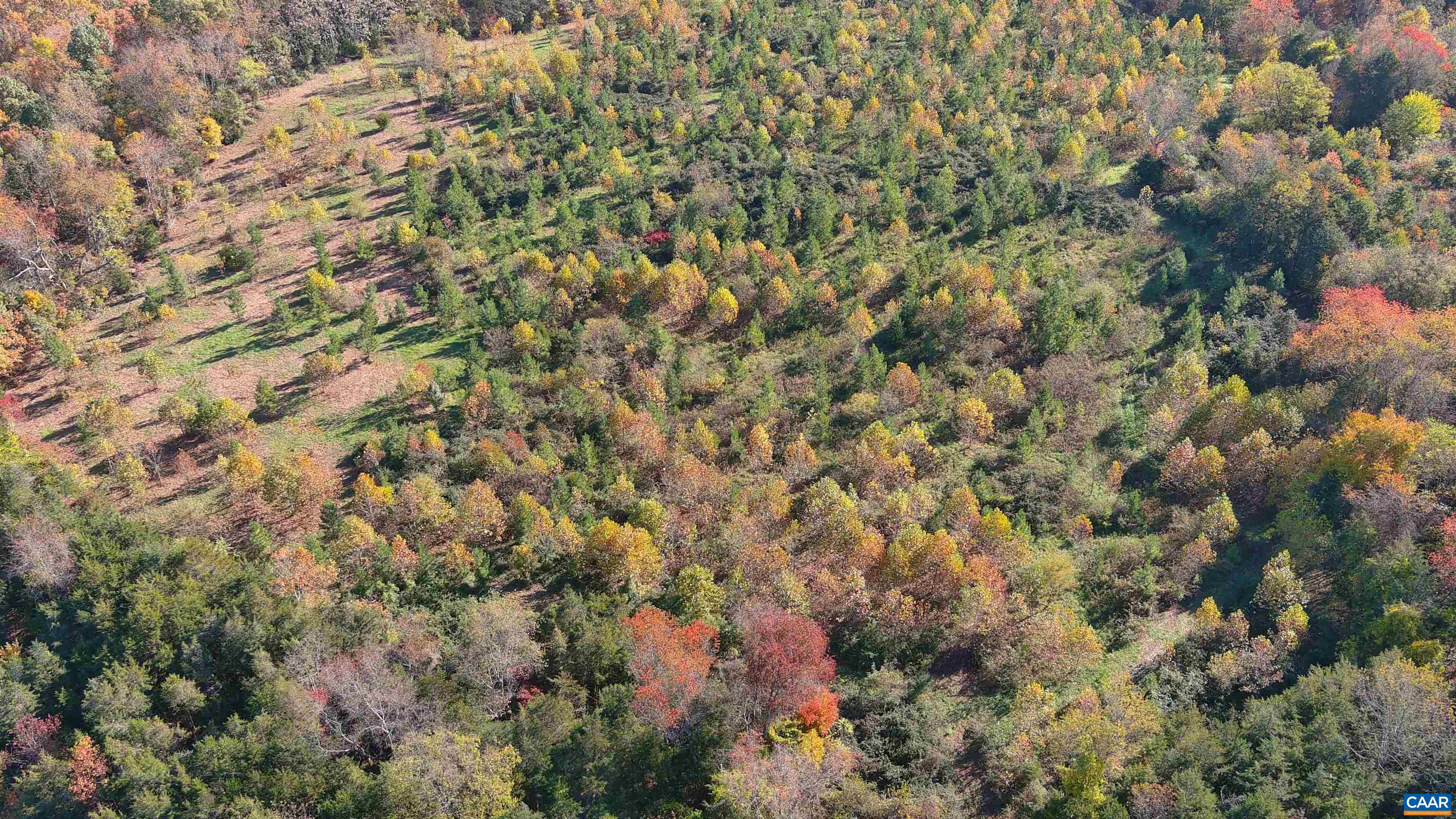 OLD BARBOURSVILLE RD, GORDONSVILLE, Virginia 22942, ,Farm,14,OLD BARBOURSVILLE RD,669789 MLS # 669789