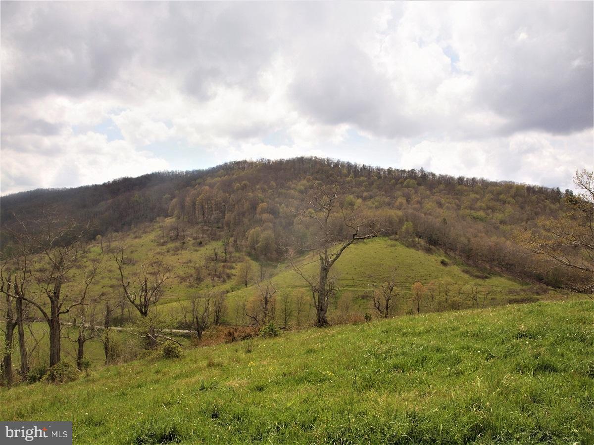 3465 HARDSCRABBLE ROAD, MONTEREY, Virginia 24465, 2 Bedrooms Bedrooms, ,Farm,For Sale,3465 HARDSCRABBLE ROAD,VAHL2000070 MLS # VAHL2000070