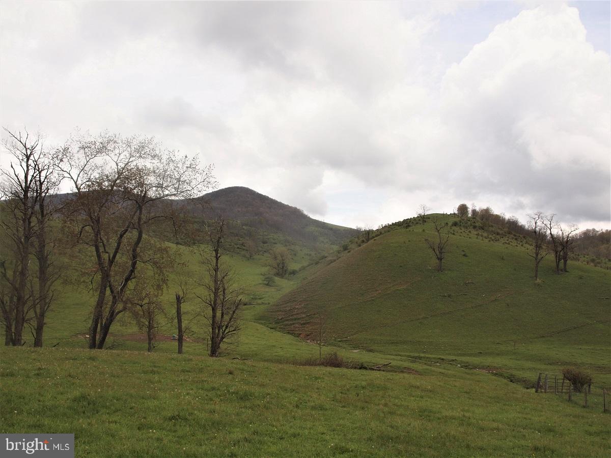 3465 HARDSCRABBLE ROAD, MONTEREY, Virginia 24465, 2 Bedrooms Bedrooms, ,Farm,For Sale,3465 HARDSCRABBLE ROAD,VAHL2000070 MLS # VAHL2000070