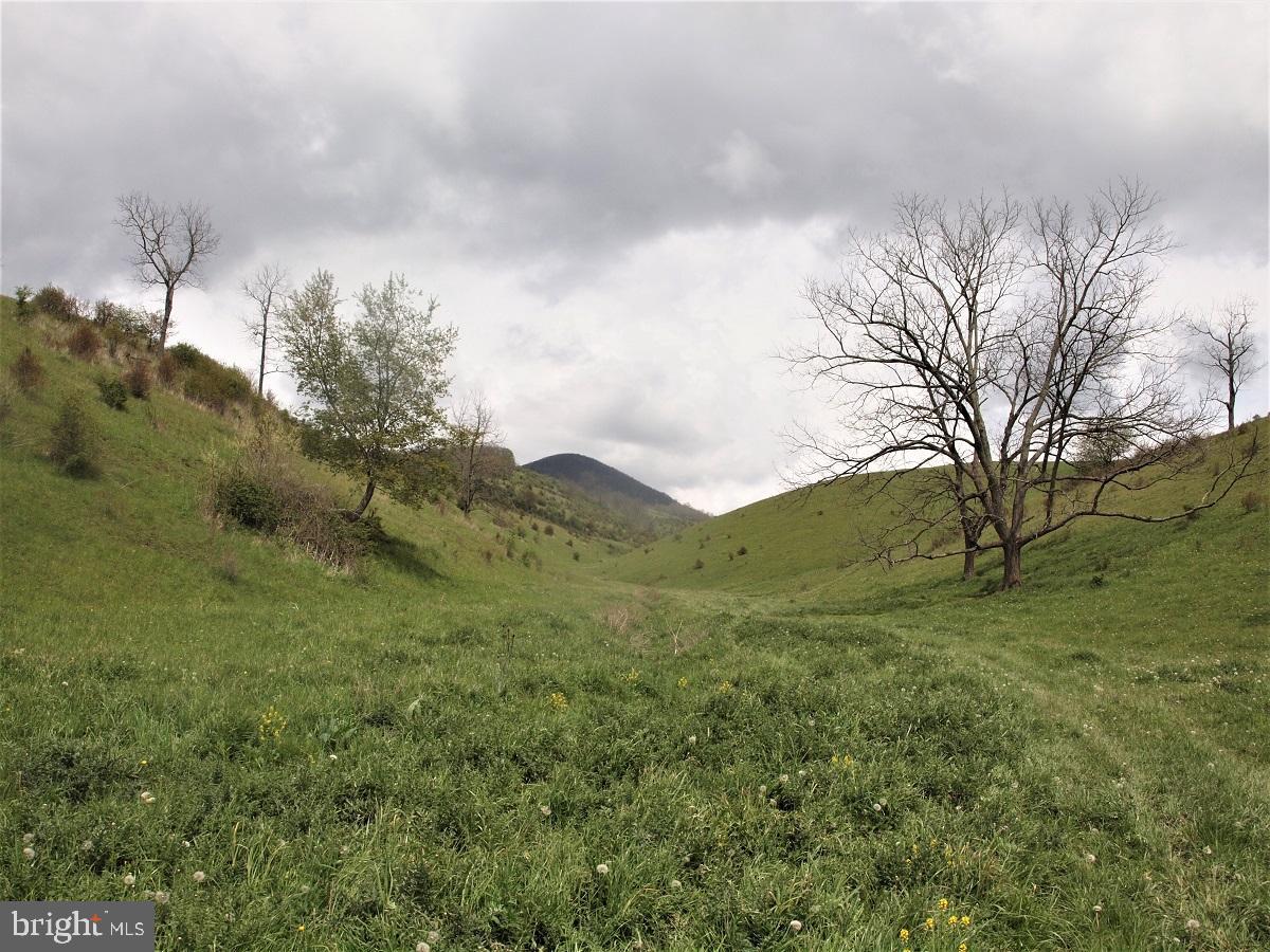 3465 HARDSCRABBLE ROAD, MONTEREY, Virginia 24465, 2 Bedrooms Bedrooms, ,Farm,For Sale,3465 HARDSCRABBLE ROAD,VAHL2000070 MLS # VAHL2000070