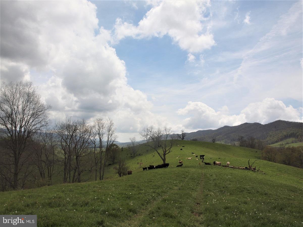 3465 HARDSCRABBLE ROAD, MONTEREY, Virginia 24465, 2 Bedrooms Bedrooms, ,Farm,For Sale,3465 HARDSCRABBLE ROAD,VAHL2000070 MLS # VAHL2000070