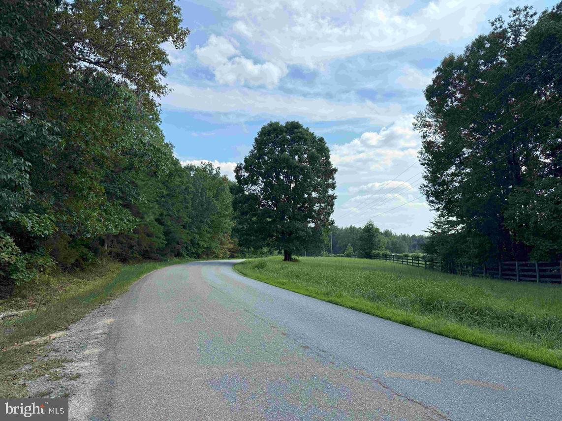 HOLLAND ROAD (TRACT: JR BEDFORD-BOWLES_SIMS-1), COLUMBIA, Virginia 23038, ,Farm,For Sale,HOLLAND ROAD (TRACT: JR BEDFORD-BOWLES_SIMS-1),VAFN2000516 MLS # VAFN2000516