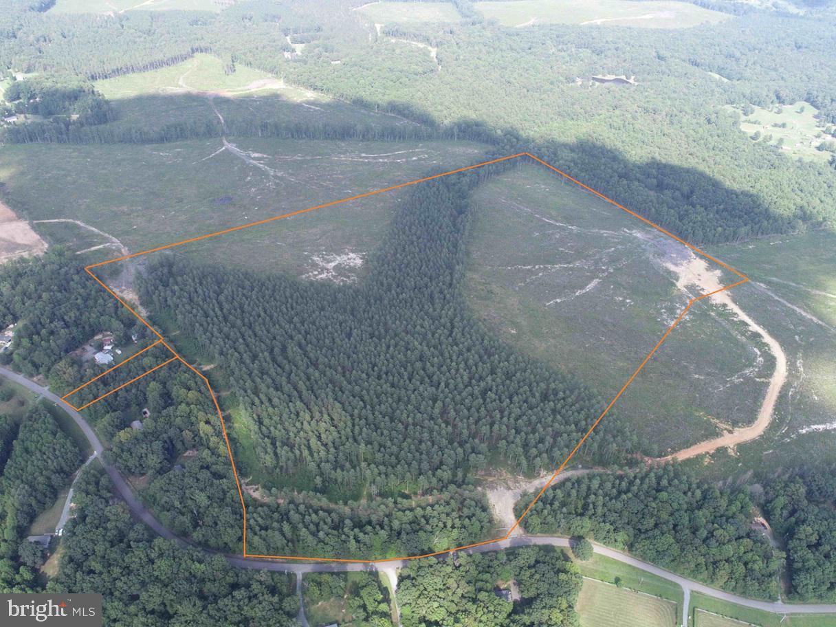 HOLLAND ROAD (TRACT: JR BEDFORD-BOWLES_SIMS-1), COLUMBIA, Virginia 23038, ,Farm,For Sale,HOLLAND ROAD (TRACT: JR BEDFORD-BOWLES_SIMS-1),VAFN2000516 MLS # VAFN2000516