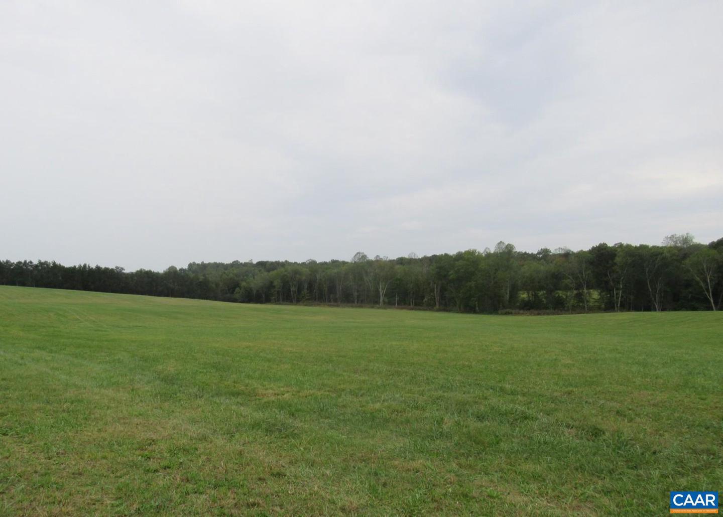 TBD TRANSCO RD, SCOTTSVILLE, Virginia 24590, ,Farm,For Sale,TBD TRANSCO RD,669853 MLS # 669853