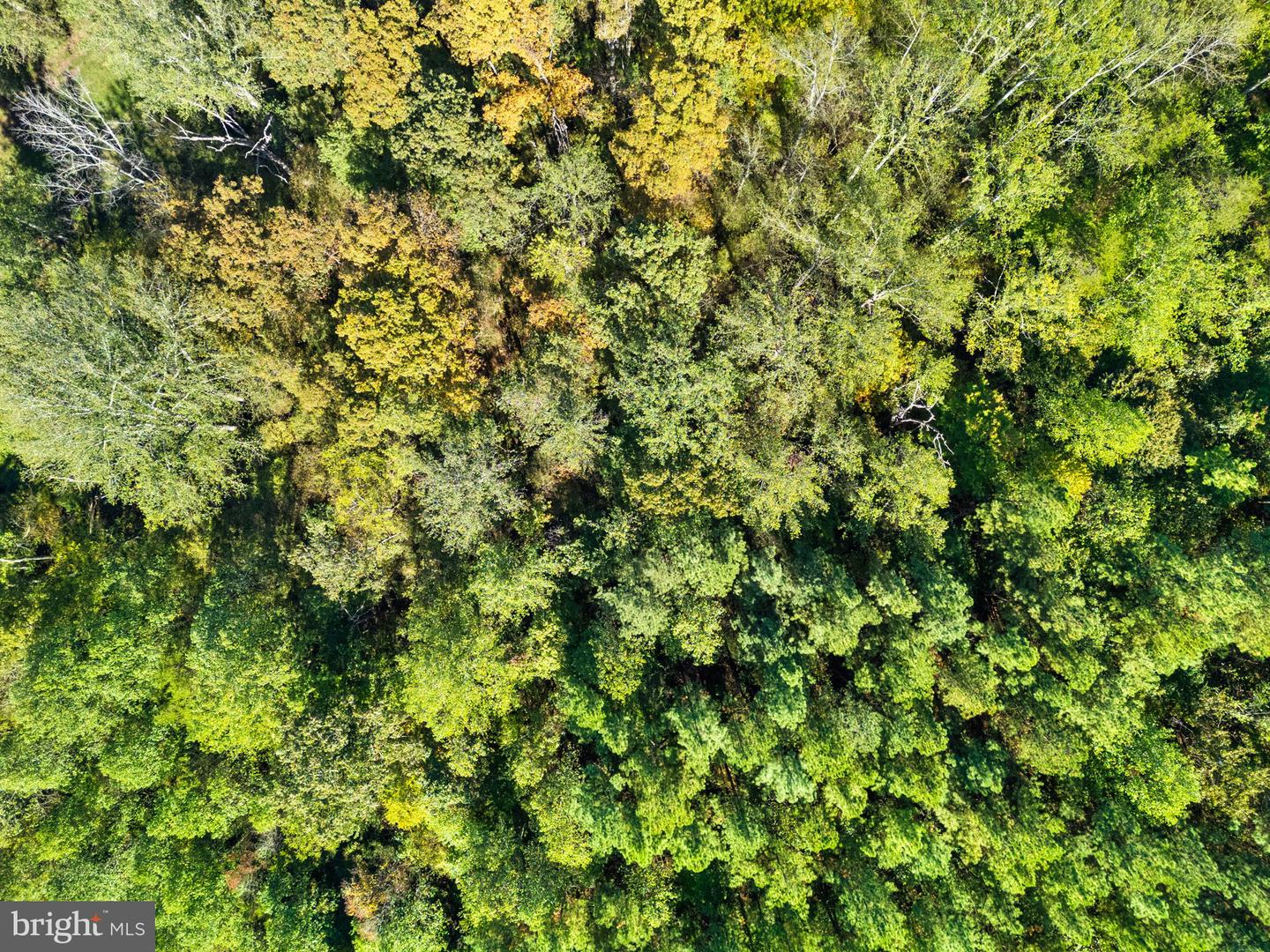 OLINGER RD, MARSHALL, Virginia 20115, ,Land,For Sale,OLINGER RD,VAFQ2018528 MLS # VAFQ2018528 OLINGER RD, MARSHALL, Virginia 20115, ,Land,For Sale,OLINGER RD,VAFQ2018528 MLS # VAFQ2018528