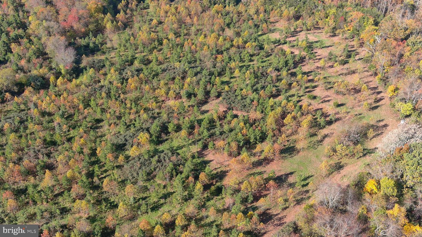 OLD BARBOURSVILLE RD, GORDONSVILLE, Virginia 22942, ,Farm,For Sale,OLD BARBOURSVILLE RD,VAOR2012534 MLS # VAOR2012534 OLD BARBOURSVILLE RD, GORDONSVILLE, Virginia 22942, ,Farm,For Sale,OLD BARBOURSVILLE RD,VAOR2012534 MLS # VAOR2012534