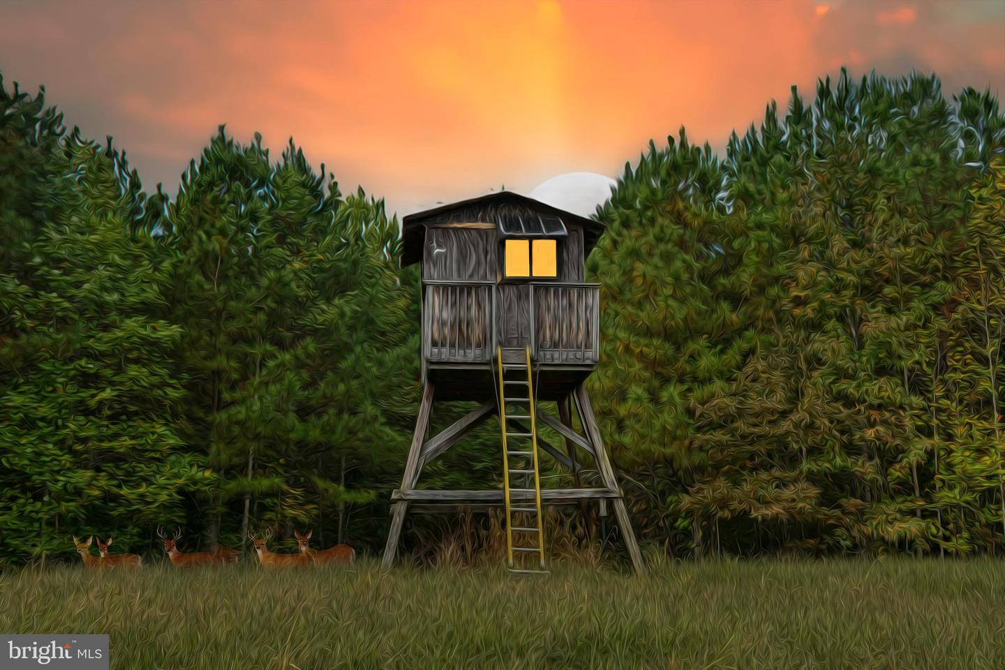 CROSS COUNTRY RD., MINERAL, Virginia 23117, ,Farm,For Sale,CROSS COUNTRY RD.,VALA2008722 MLS # VALA2008722 CROSS COUNTRY RD., MINERAL, Virginia 23117, ,Farm,For Sale,CROSS COUNTRY RD.,VALA2008722 MLS # VALA2008722