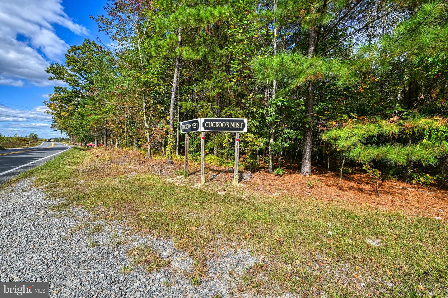 CROSS COUNTRY RD., MINERAL, Virginia 23117, ,Farm,For Sale,CROSS COUNTRY RD.,VALA2008722 MLS # VALA2008722 CROSS COUNTRY RD., MINERAL, Virginia 23117, ,Farm,For Sale,CROSS COUNTRY RD.,VALA2008722 MLS # VALA2008722