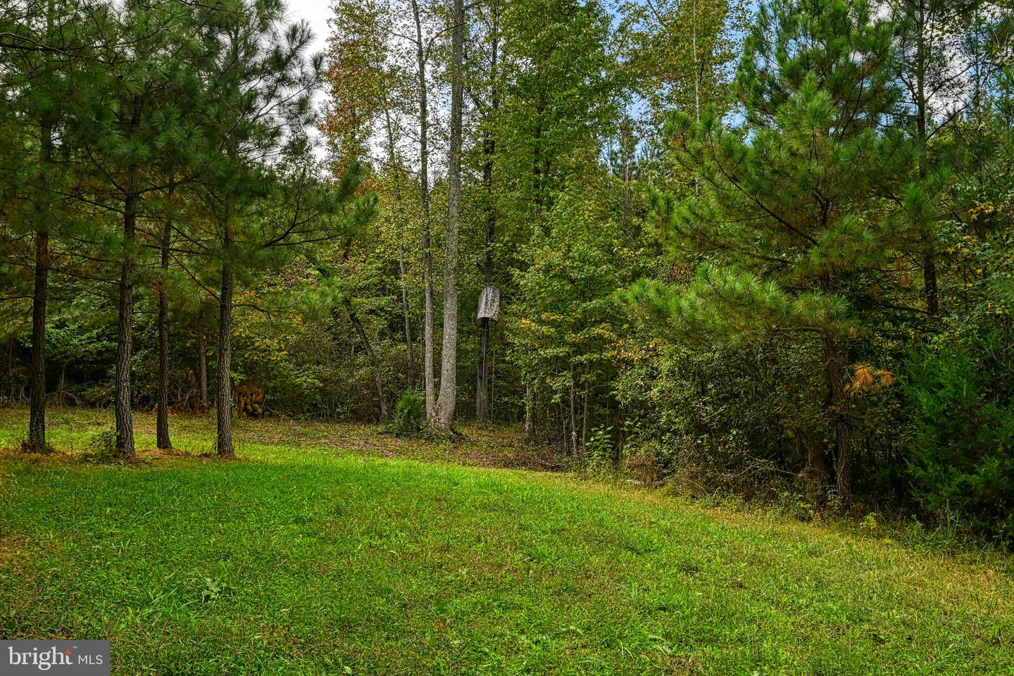 CROSS COUNTRY RD., MINERAL, Virginia 23117, ,Farm,For Sale,CROSS COUNTRY RD.,VALA2008722 MLS # VALA2008722 CROSS COUNTRY RD., MINERAL, Virginia 23117, ,Farm,For Sale,CROSS COUNTRY RD.,VALA2008722 MLS # VALA2008722