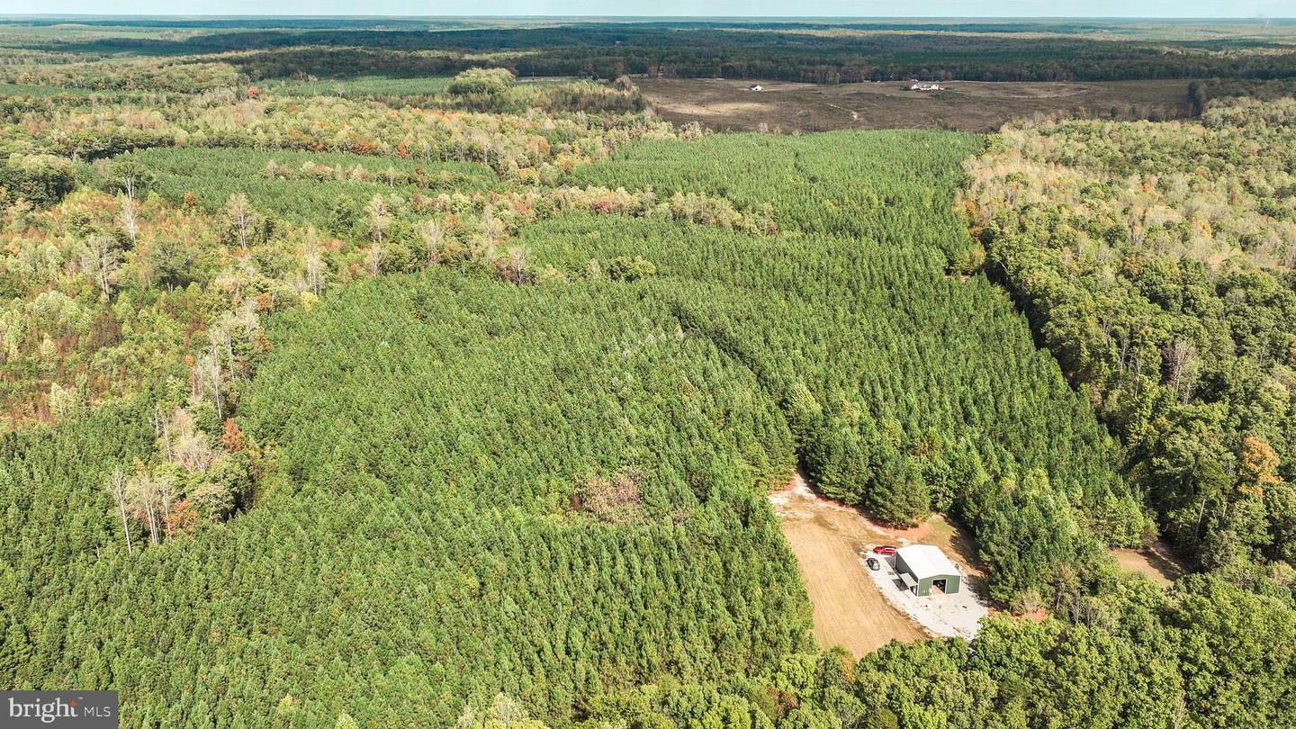 CROSS COUNTRY RD., MINERAL, Virginia 23117, ,Farm,For Sale,CROSS COUNTRY RD.,VALA2008722 MLS # VALA2008722 CROSS COUNTRY RD., MINERAL, Virginia 23117, ,Farm,For Sale,CROSS COUNTRY RD.,VALA2008722 MLS # VALA2008722