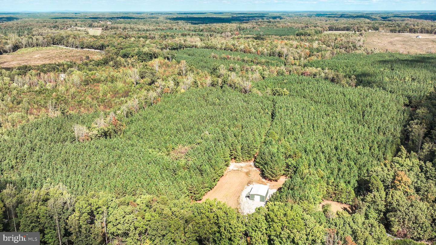 CROSS COUNTRY RD., MINERAL, Virginia 23117, ,Farm,For Sale,CROSS COUNTRY RD.,VALA2008722 MLS # VALA2008722 CROSS COUNTRY RD., MINERAL, Virginia 23117, ,Farm,For Sale,CROSS COUNTRY RD.,VALA2008722 MLS # VALA2008722