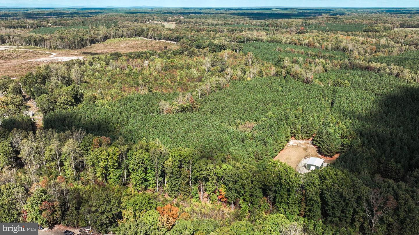 CROSS COUNTRY RD., MINERAL, Virginia 23117, ,Farm,For Sale,CROSS COUNTRY RD.,VALA2008722 MLS # VALA2008722 CROSS COUNTRY RD., MINERAL, Virginia 23117, ,Farm,For Sale,CROSS COUNTRY RD.,VALA2008722 MLS # VALA2008722