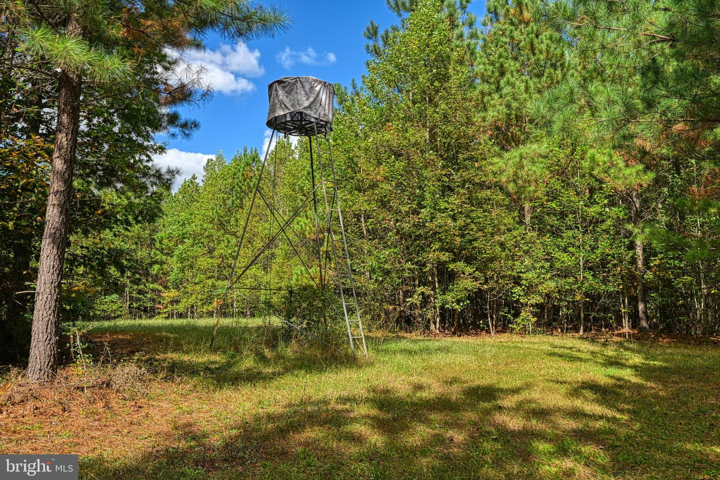 CROSS COUNTRY RD., MINERAL, Virginia 23117, ,Farm,For Sale,CROSS COUNTRY RD.,VALA2008722 MLS # VALA2008722 CROSS COUNTRY RD., MINERAL, Virginia 23117, ,Farm,For Sale,CROSS COUNTRY RD.,VALA2008722 MLS # VALA2008722