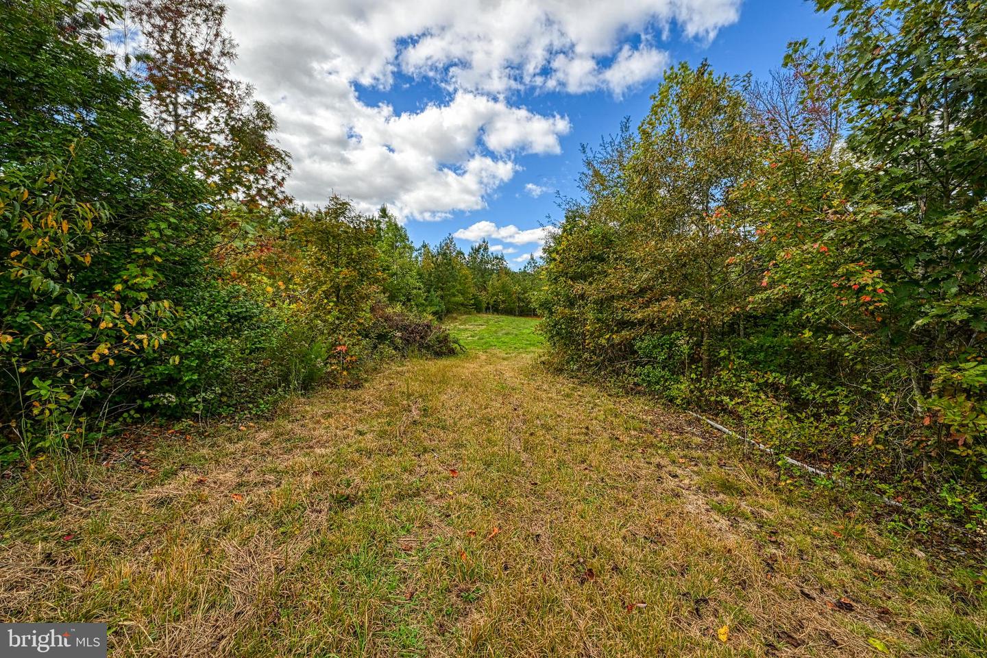 CROSS COUNTRY RD., MINERAL, Virginia 23117, ,Farm,For Sale,CROSS COUNTRY RD.,VALA2008722 MLS # VALA2008722 CROSS COUNTRY RD., MINERAL, Virginia 23117, ,Farm,For Sale,CROSS COUNTRY RD.,VALA2008722 MLS # VALA2008722