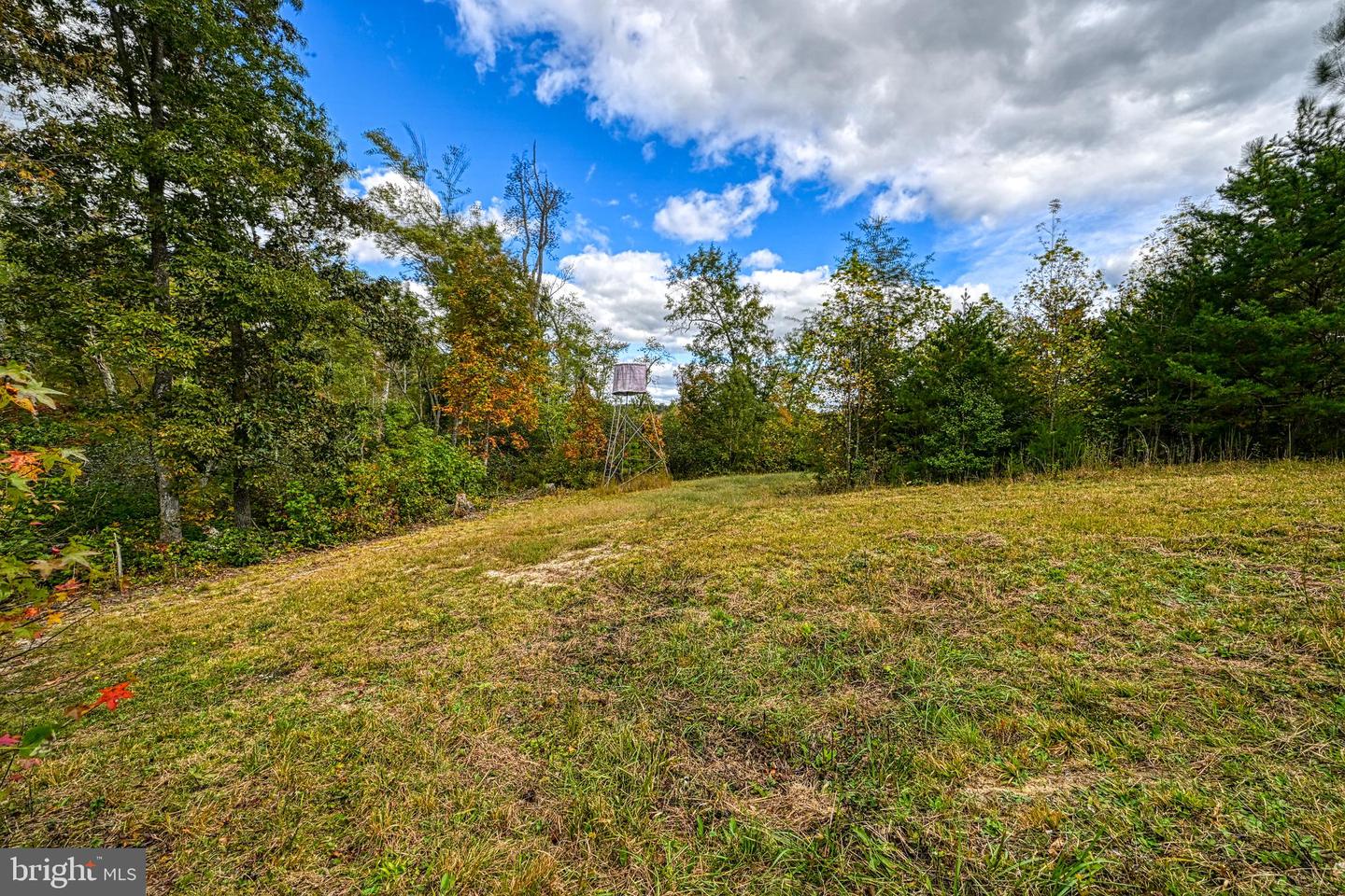 CROSS COUNTRY RD., MINERAL, Virginia 23117, ,Farm,For Sale,CROSS COUNTRY RD.,VALA2008722 MLS # VALA2008722 CROSS COUNTRY RD., MINERAL, Virginia 23117, ,Farm,For Sale,CROSS COUNTRY RD.,VALA2008722 MLS # VALA2008722