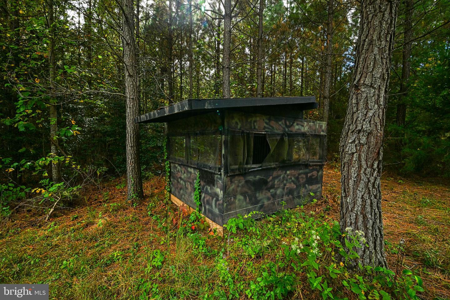 CROSS COUNTRY RD., MINERAL, Virginia 23117, ,Farm,For Sale,CROSS COUNTRY RD.,VALA2008722 MLS # VALA2008722 CROSS COUNTRY RD., MINERAL, Virginia 23117, ,Farm,For Sale,CROSS COUNTRY RD.,VALA2008722 MLS # VALA2008722