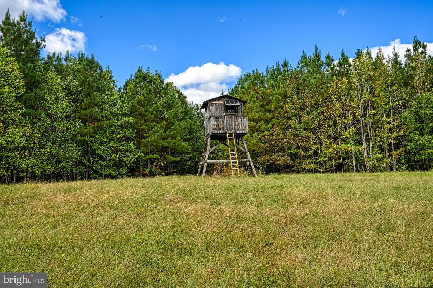 CROSS COUNTRY RD., MINERAL, Virginia 23117, ,Farm,For Sale,CROSS COUNTRY RD.,VALA2008722 MLS # VALA2008722 CROSS COUNTRY RD., MINERAL, Virginia 23117, ,Farm,For Sale,CROSS COUNTRY RD.,VALA2008722 MLS # VALA2008722