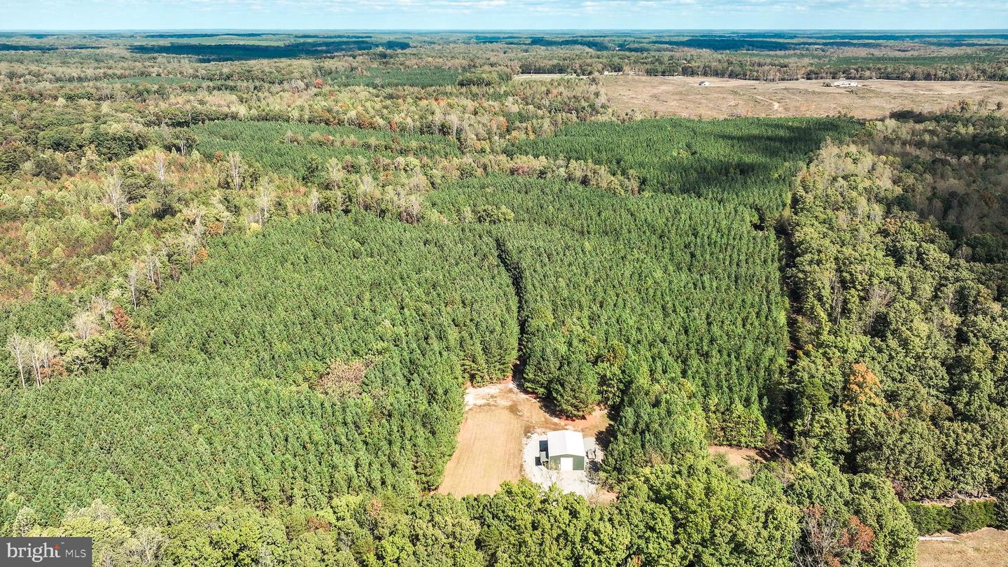CROSS COUNTRY RD., MINERAL, Virginia 23117, ,Farm,For Sale,CROSS COUNTRY RD.,VALA2008722 MLS # VALA2008722 CROSS COUNTRY RD., MINERAL, Virginia 23117, ,Farm,For Sale,CROSS COUNTRY RD.,VALA2008722 MLS # VALA2008722