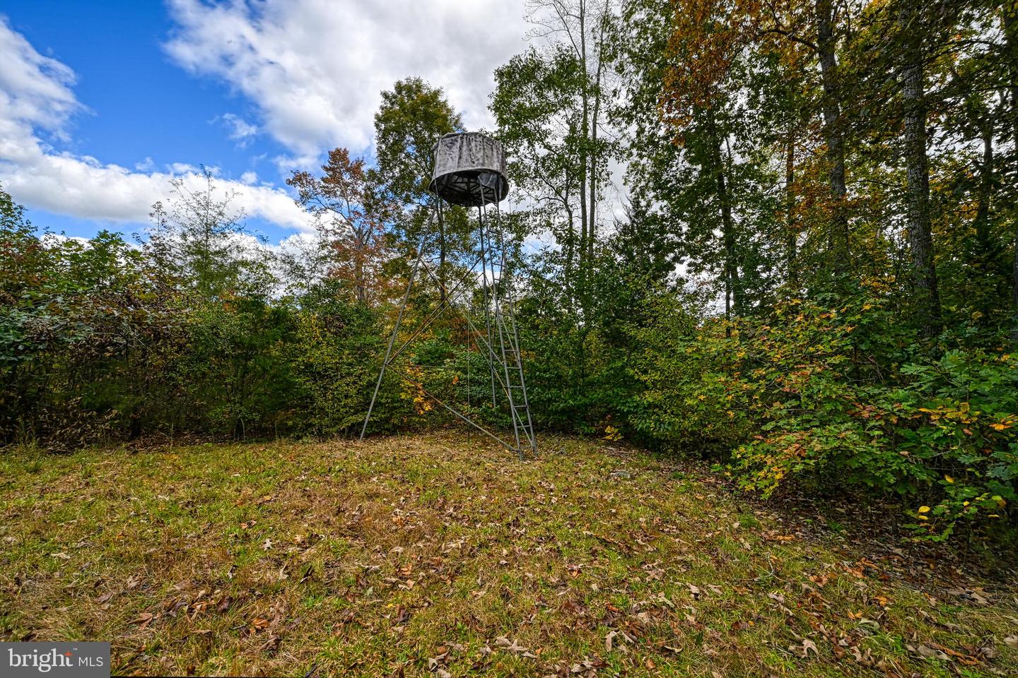 CROSS COUNTRY RD., MINERAL, Virginia 23117, ,Farm,For Sale,CROSS COUNTRY RD.,VALA2008722 MLS # VALA2008722 CROSS COUNTRY RD., MINERAL, Virginia 23117, ,Farm,For Sale,CROSS COUNTRY RD.,VALA2008722 MLS # VALA2008722