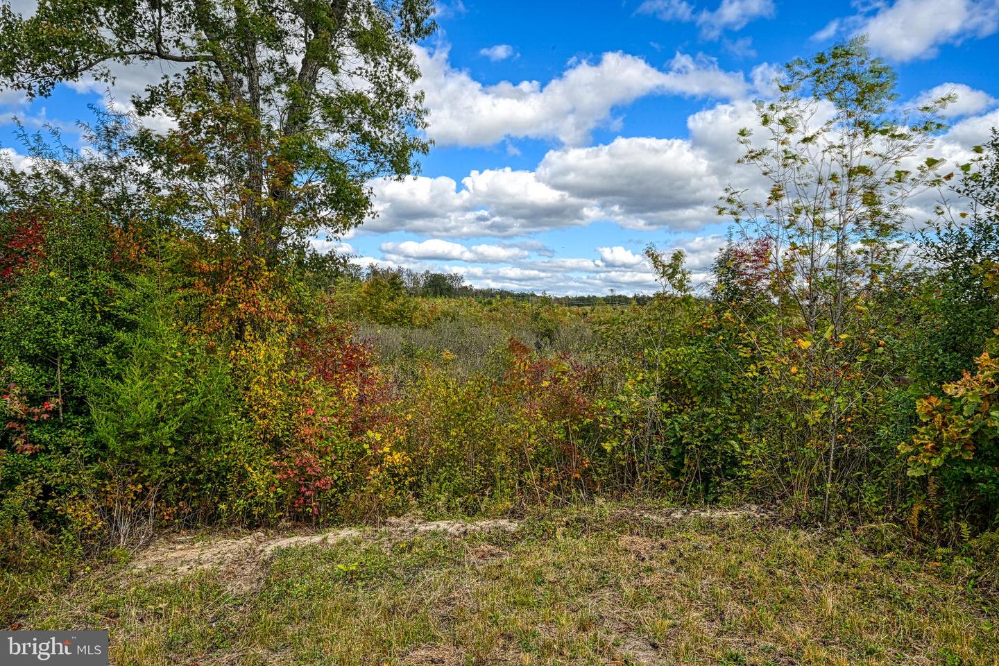CROSS COUNTRY RD., MINERAL, Virginia 23117, ,Farm,For Sale,CROSS COUNTRY RD.,VALA2008722 MLS # VALA2008722 CROSS COUNTRY RD., MINERAL, Virginia 23117, ,Farm,For Sale,CROSS COUNTRY RD.,VALA2008722 MLS # VALA2008722