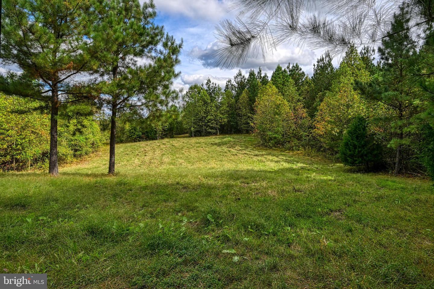 CROSS COUNTRY RD., MINERAL, Virginia 23117, ,Farm,For Sale,CROSS COUNTRY RD.,VALA2008722 MLS # VALA2008722 CROSS COUNTRY RD., MINERAL, Virginia 23117, ,Farm,For Sale,CROSS COUNTRY RD.,VALA2008722 MLS # VALA2008722