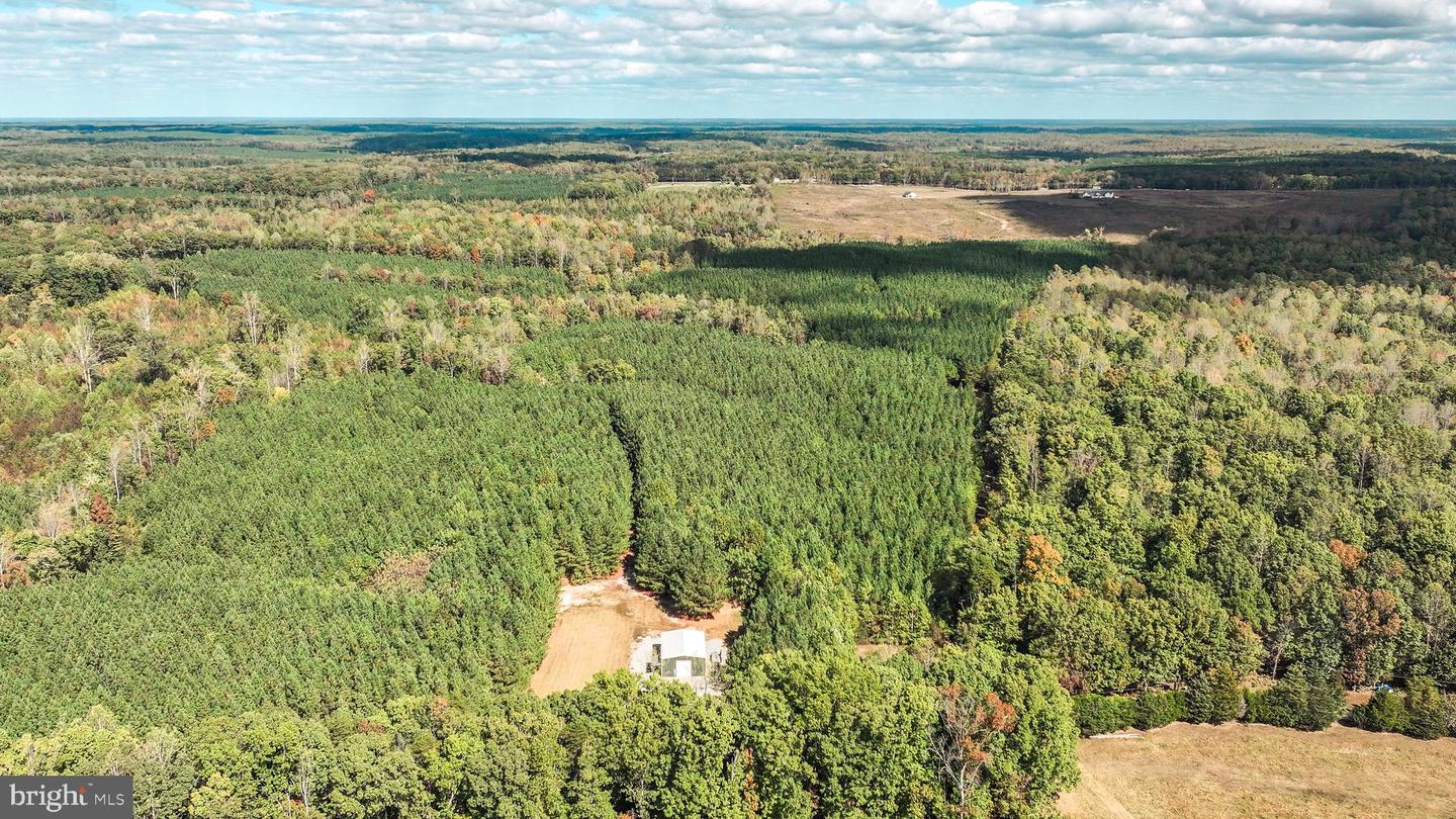 CROSS COUNTRY RD., MINERAL, Virginia 23117, ,Farm,For Sale,CROSS COUNTRY RD.,VALA2008722 MLS # VALA2008722 CROSS COUNTRY RD., MINERAL, Virginia 23117, ,Farm,For Sale,CROSS COUNTRY RD.,VALA2008722 MLS # VALA2008722