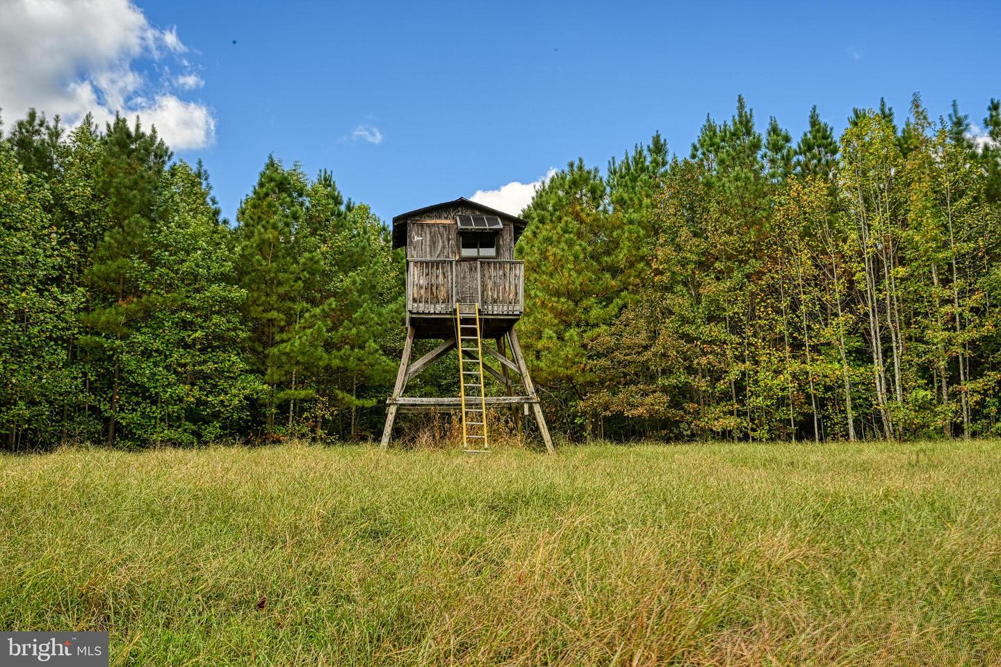 CROSS COUNTRY RD., MINERAL, Virginia 23117, ,Farm,For Sale,CROSS COUNTRY RD.,VALA2008722 MLS # VALA2008722 CROSS COUNTRY RD., MINERAL, Virginia 23117, ,Farm,For Sale,CROSS COUNTRY RD.,VALA2008722 MLS # VALA2008722