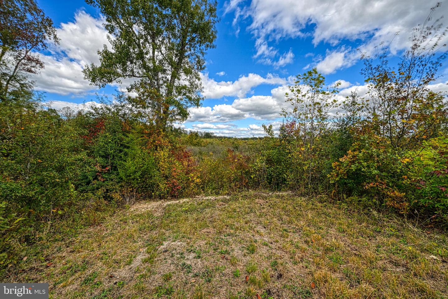 CROSS COUNTRY RD., MINERAL, Virginia 23117, ,Farm,For Sale,CROSS COUNTRY RD.,VALA2008722 MLS # VALA2008722 CROSS COUNTRY RD., MINERAL, Virginia 23117, ,Farm,For Sale,CROSS COUNTRY RD.,VALA2008722 MLS # VALA2008722