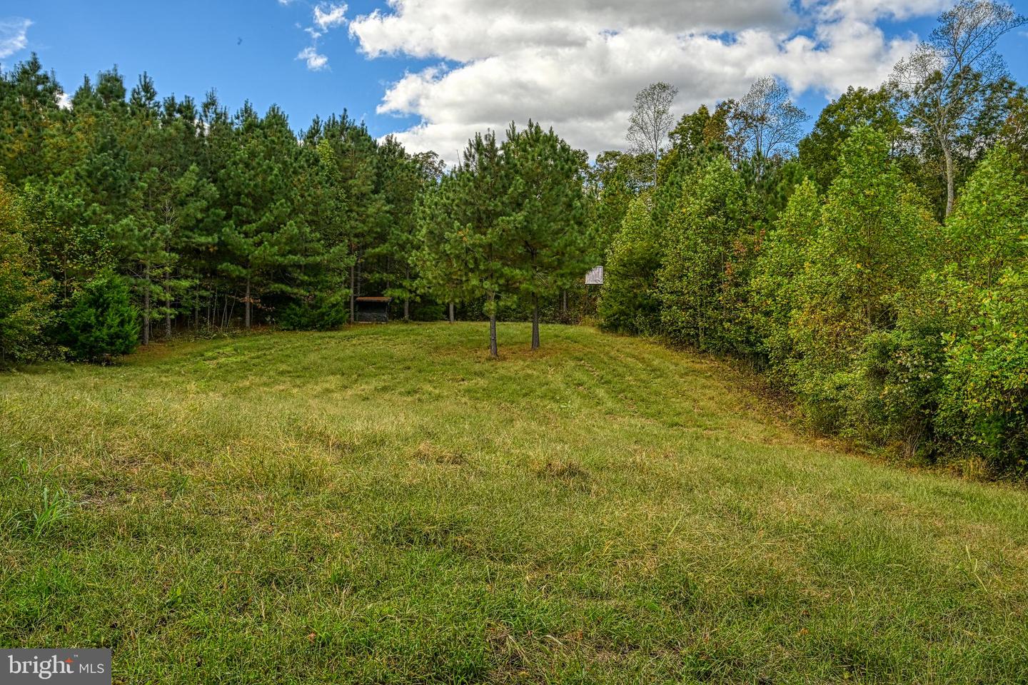 CROSS COUNTRY RD., MINERAL, Virginia 23117, ,Farm,For Sale,CROSS COUNTRY RD.,VALA2008722 MLS # VALA2008722 CROSS COUNTRY RD., MINERAL, Virginia 23117, ,Farm,For Sale,CROSS COUNTRY RD.,VALA2008722 MLS # VALA2008722