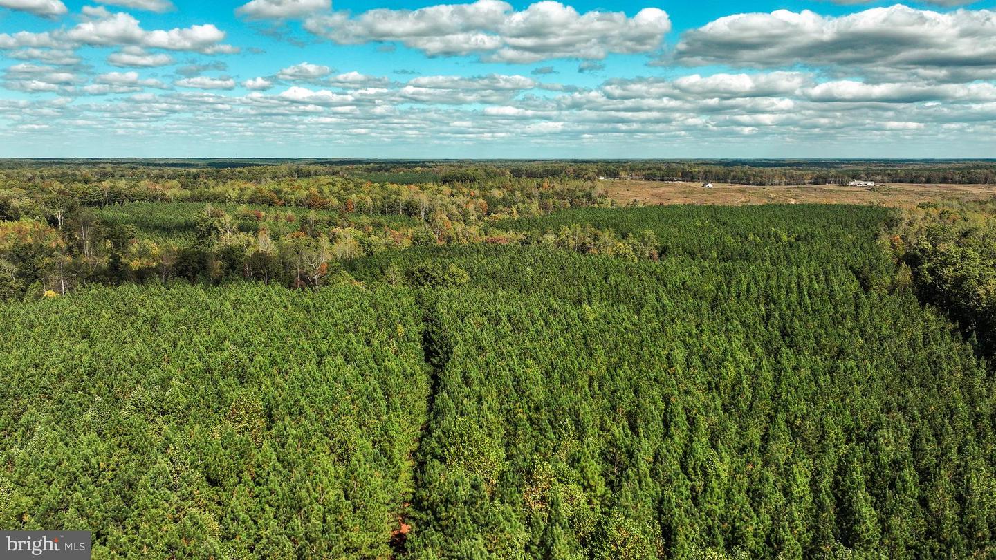 CROSS COUNTRY RD., MINERAL, Virginia 23117, ,Farm,For Sale,CROSS COUNTRY RD.,VALA2008722 MLS # VALA2008722 CROSS COUNTRY RD., MINERAL, Virginia 23117, ,Farm,For Sale,CROSS COUNTRY RD.,VALA2008722 MLS # VALA2008722