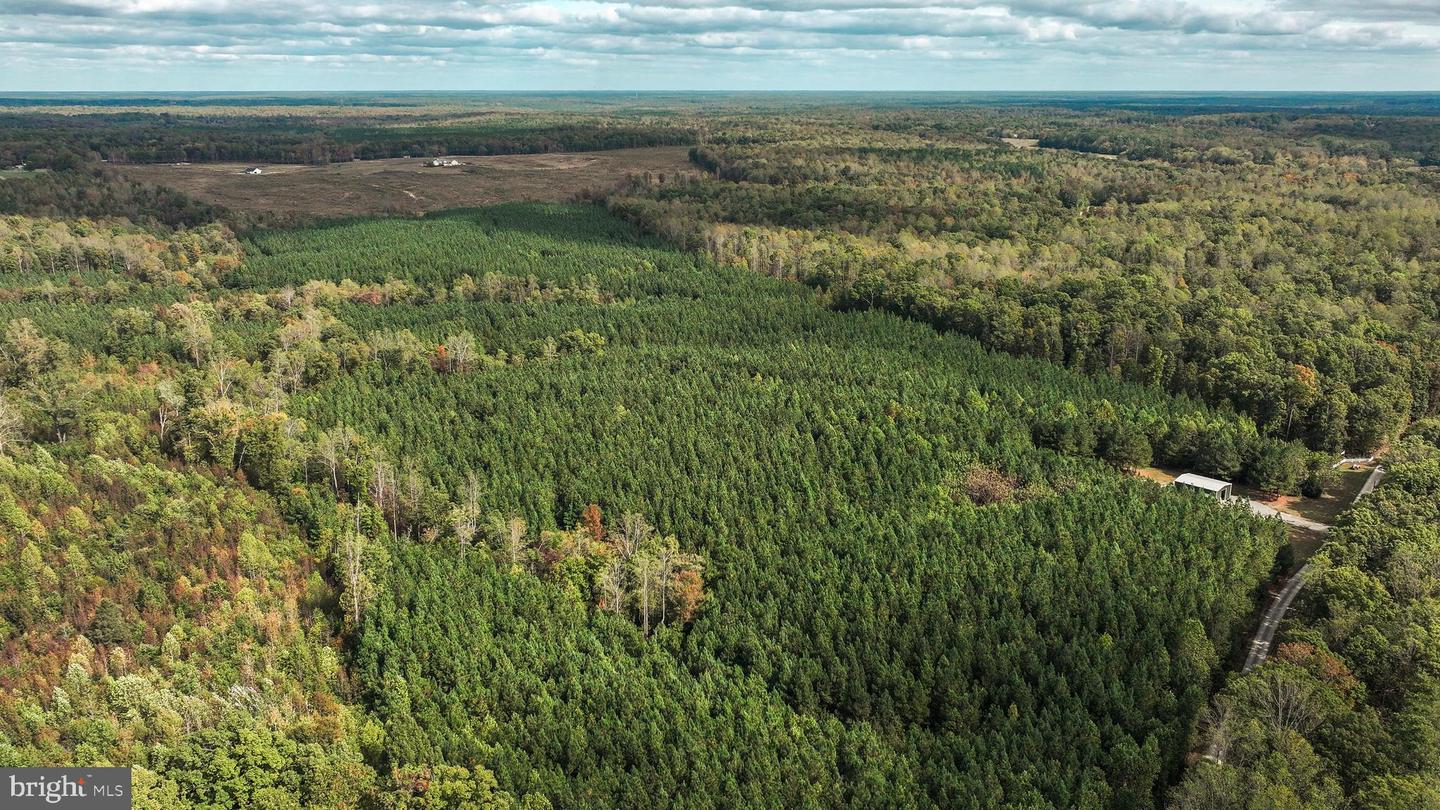 CROSS COUNTRY RD., MINERAL, Virginia 23117, ,Farm,For Sale,CROSS COUNTRY RD.,VALA2008722 MLS # VALA2008722 CROSS COUNTRY RD., MINERAL, Virginia 23117, ,Farm,For Sale,CROSS COUNTRY RD.,VALA2008722 MLS # VALA2008722