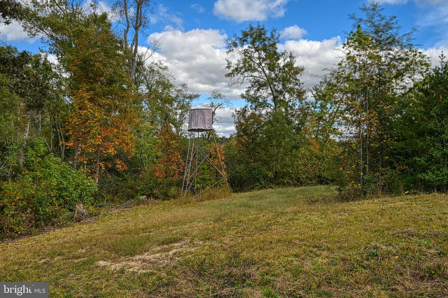 CROSS COUNTRY RD., MINERAL, Virginia 23117, ,Farm,For Sale,CROSS COUNTRY RD.,VALA2008722 MLS # VALA2008722 CROSS COUNTRY RD., MINERAL, Virginia 23117, ,Farm,For Sale,CROSS COUNTRY RD.,VALA2008722 MLS # VALA2008722