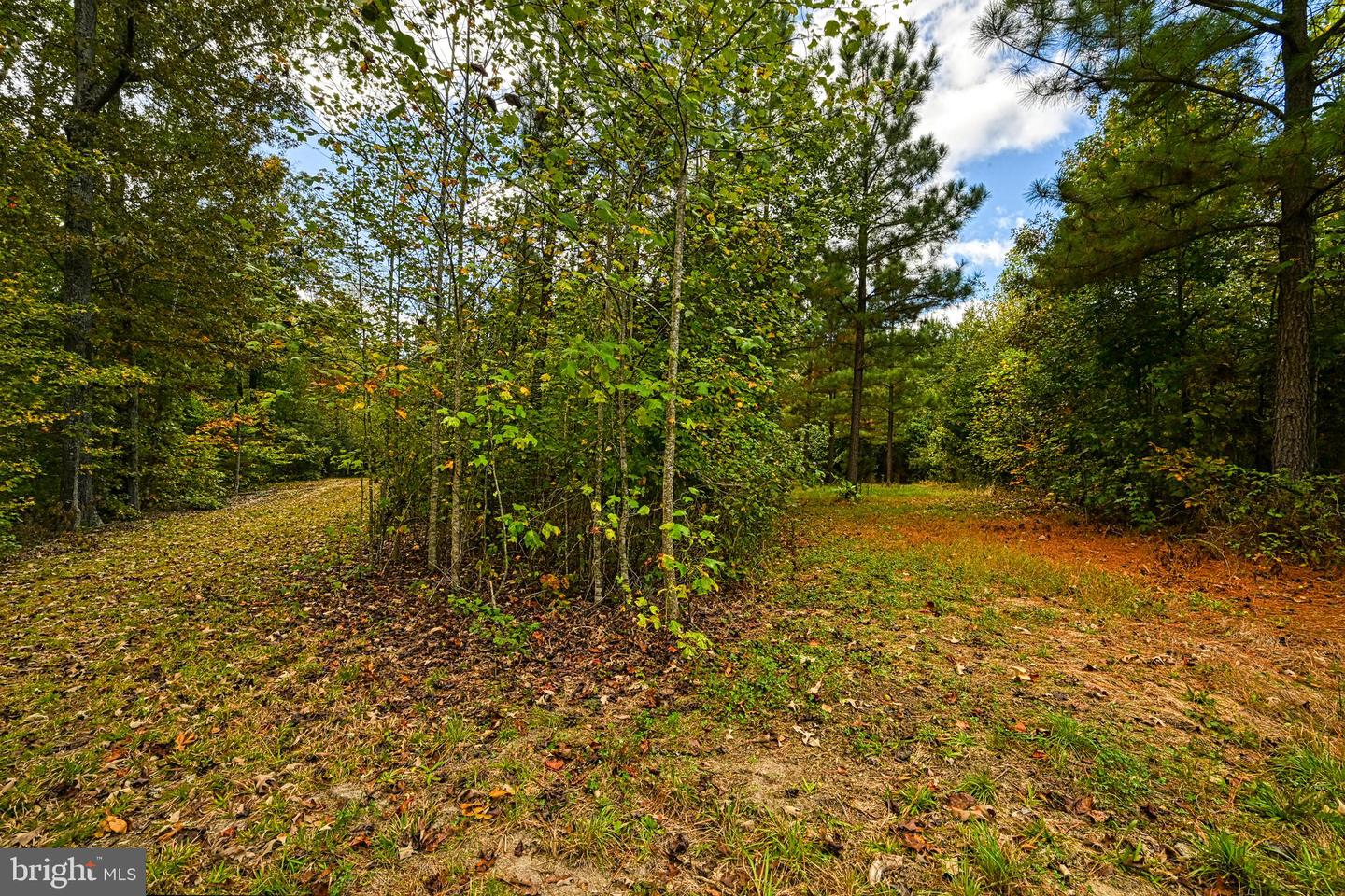 CROSS COUNTRY RD., MINERAL, Virginia 23117, ,Farm,For Sale,CROSS COUNTRY RD.,VALA2008722 MLS # VALA2008722 CROSS COUNTRY RD., MINERAL, Virginia 23117, ,Farm,For Sale,CROSS COUNTRY RD.,VALA2008722 MLS # VALA2008722